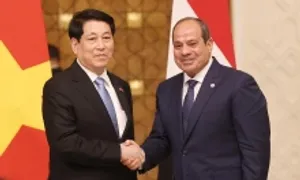 Việt Nam - Ai Cập nâng cấp quan hệ lên Đối tác Toàn diện